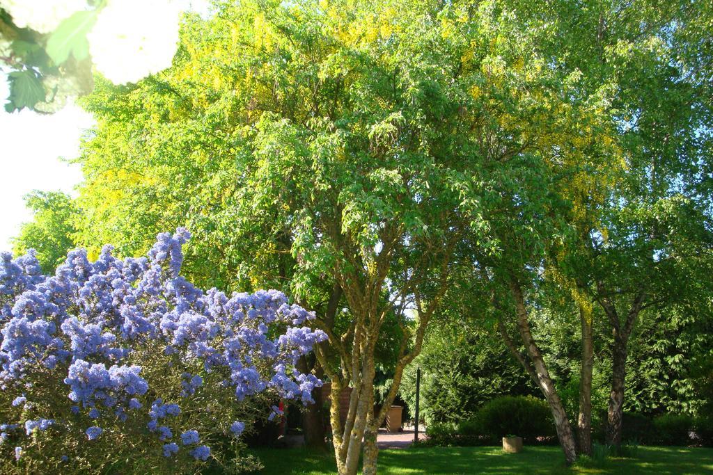 לינה וארוחת בוקר Tremereuc Au Jardin D'Eloise מראה חיצוני תמונה